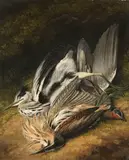 Samuel Howitt, Stillleben mit Rebhuhn, Schnepfe und Kranich, 1800, Oil on panel