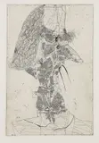 Horst Janssen, Don Quichote
