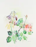 Schwertlilien mit Rosen by Oskar Kokoschka, 1969, Lithograph in colors, sold Oct 2011
