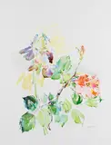 Schwertlilien mit Rosen by Oskar Kokoschka, 1976, Lithograph in colours, sold Oct 2011