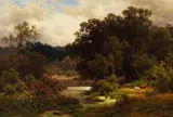 Julius Monien, Blick über einen Waldweiher (Oderbruch), Oil on canvas