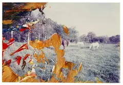 Ohne Titel by Gerhard Richter, 1989, Acrylic, sold Jun 2011