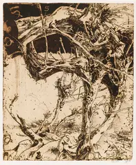 Horst Janssen, Laokoon - "Die Bäume der Annette", 1986, Etching in colors