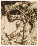 Horst Janssen, Laokoon - "Die Bäume der Annette", 1986, Etching in colors