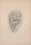 Giorgio Morandi, Fiori in un cornetto su fondo ovoidale, 1929, Etching