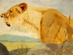 Kopf einer Löwin by Wilhelm Kuhnert, 1891, Oil on canvas, sold May 2011