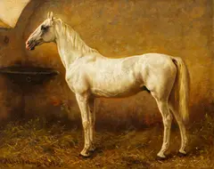 Matilda Lotz, Schimmel im Stall stehend, Oil on canvas