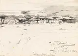Wilhelm Kuhnert, Schirmakazienhain, 1905, Pencil drawing