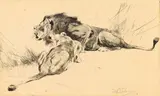 Wilhelm Kuhnert, Löwen, 1924, Drypoint