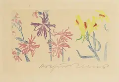 Arthur Illies, Federnelke und Leinkraut, 1896, Etching in colours