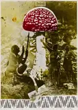 Mu nieltnam netorruprup by Sigmar Polke, 1975, Offset in colours, sold May 2011