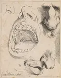 Jusepe de Ribera gen. Lo Spagnoletto, Nasen- und Mundstudie, 1622, Etching