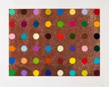 Proctolin by Damien Hirst, 2008, Silkscreen in colours, sold Oct 2010