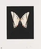 Spirit by Damien Hirst, 2009, Etching and aquatint, sold Oct 2010