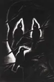 Helmut Middendorf, Head, 1988, Charcoal drawing