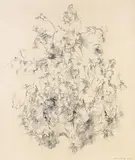 Bernard Schultze, Komposition, 1959, Chalk drawing