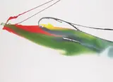 Phenomena Querbound I by Paul Jenkins, 1963, Watercolour, sold Apr 2010