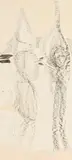 Gerhard Altenbourg, Begegnung zweier Spitzhüte