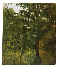 Christian Friedrich Gille, Baum-Studie, Oil