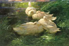 Alexander Koester, Vier Enten im Schilfwasser, 1908, Oil on canvas