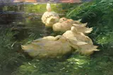 Vier Enten im Schilfwasser by Alexander Koester, 1908, Oil on canvas, sold Apr 2010