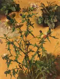 Christian Friedrich Gille, Distel-Studie