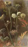 Christian Friedrich Gille, Schafgarben-Studie