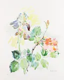 Schwertlilien mit Rosen by Oskar Kokoschka, 1976, Lithograph in colours, sold Apr 2010