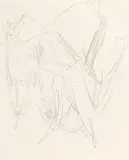 Berglandschaft mit Edelweiß by Ernst Ludwig Kirchner, 1919, Pencil drawing, sold Apr 2010
