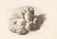 Knoblauch-Sträußchen by Émile Bastien-Lepage, 1900, Pen and ink drawing, sold Apr 2010