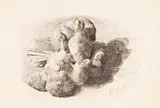 Émile Bastien-Lepage, Knoblauch-Sträußchen, 1900, Pen and ink drawing