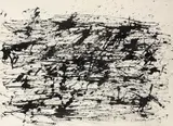 Henri Michaux, Confusion des Nerfs