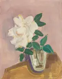 Karl Hofer, Stillleben mit weißer Rose
