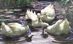 Alexander Koester, Vier schwimmende Enten im Teich, Oil on canvas