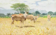 Wilhelm Kuhnert, Antilopen, 1900, Watercolour