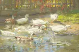 Franz Gräßel, Enten am Weiher, 1900, Oil on canvas