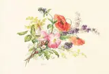 Gottfried Wilhelm Voelcker, Wildblumenbukett, 1800, Watercolour