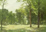 Edward Harrison Compton, Waldlichtung