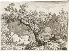 Allaert van Everdingen, 16 Blätter: Landschaftsdarstellungen, Etching