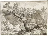 Allaert van Everdingen, 16 Blätter: Landschaftsdarstellungen, Etching