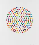 Cephalotin by Damien Hirst, 2007, Etching and aquatint in colours, sold Apr 2009
