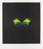 Butterfly/small green by Damien Hirst, 2007, Etching and aquatint, sold Apr 2009