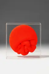 Rotes Gehirn by Ferdinand Spindel, 1970, Object, sold Apr 2009