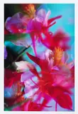 Peter Fischli and David Weiss, Flowers