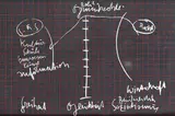 Joseph Beuys, Schiefertafel, 1972, Farbserigrafie, beidseitig auf Schiefertafel