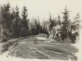 Karl Schmidt-Rottluff, Waldweg