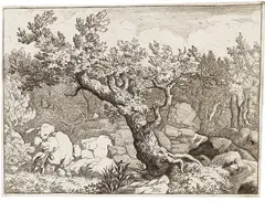 Allaert van Everdingen, 16 Blätter: Landschaftsdarstellungen, Etching