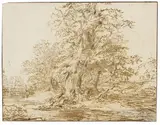 Claes van Beresteyn, Zugeschrieben - Bäume, Pen and India ink drawing