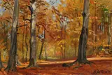 Ernst Koerner, Waldlichtung, 1921, Oil