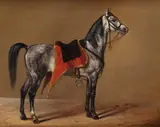 Albrecht Adam, Stehendes Pferd nach rechts, 1829, Oil on canvas